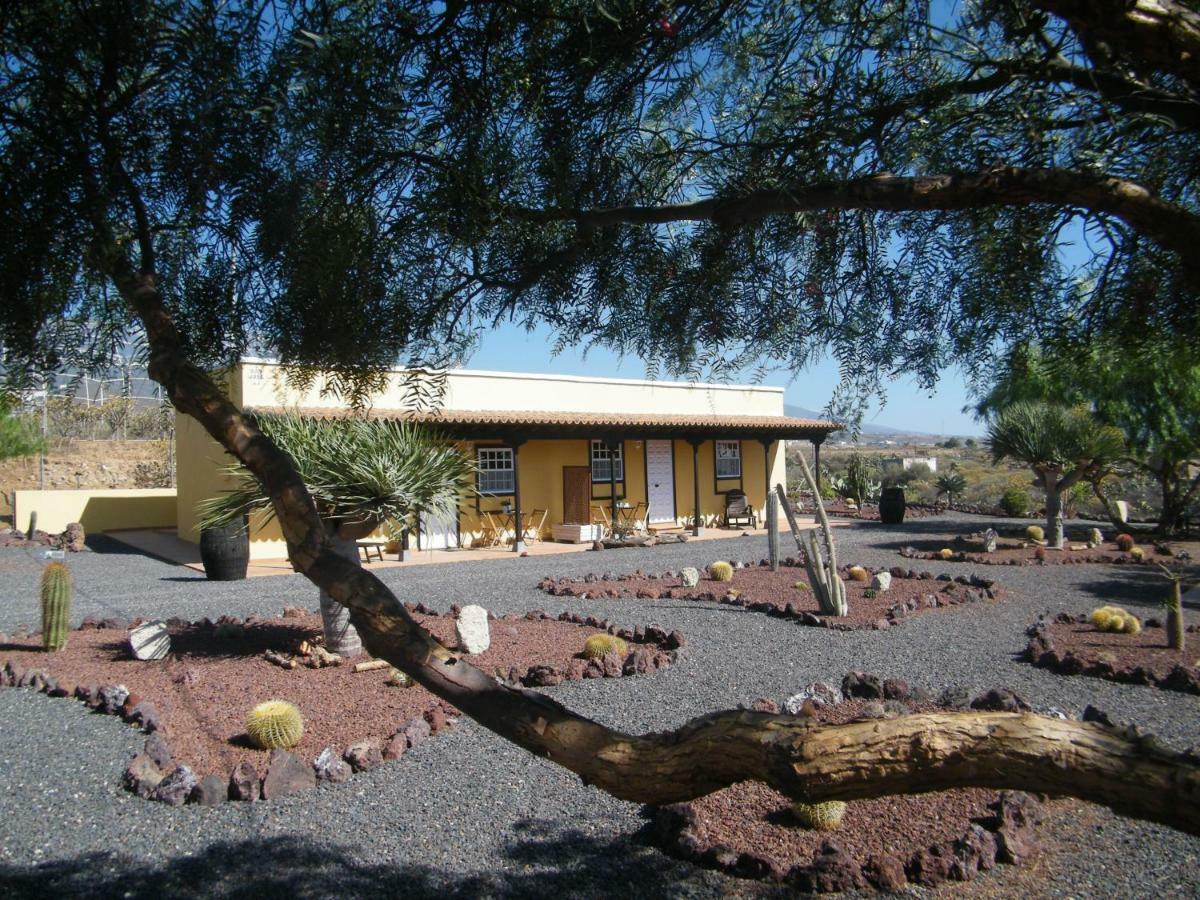 San Jose * San Isidro (Tenerife)